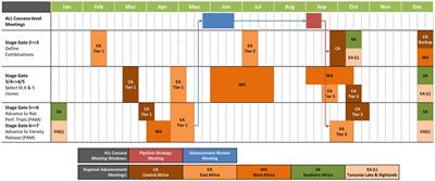 Development of portfolio management tools in crop breeding programs: a case study of cassava in sub-Saharan Africa